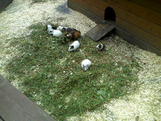 P19-07-12_10.37[1]