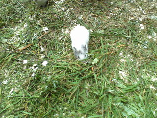 P19-07-12_10.37[2]