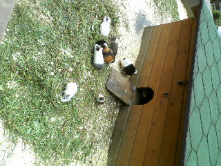 P19-07-12_10.37[3]