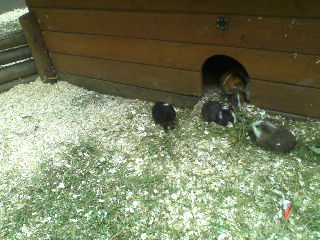 P19-07-12_10.47[4]