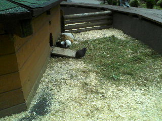 P19-07-12_10.48[1]