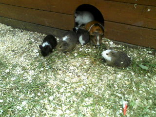 P19-07-12_10.48[2]