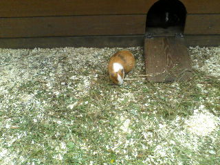 P19-07-12_10.48[4]