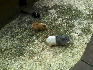 P19-07-12_10.50[1]